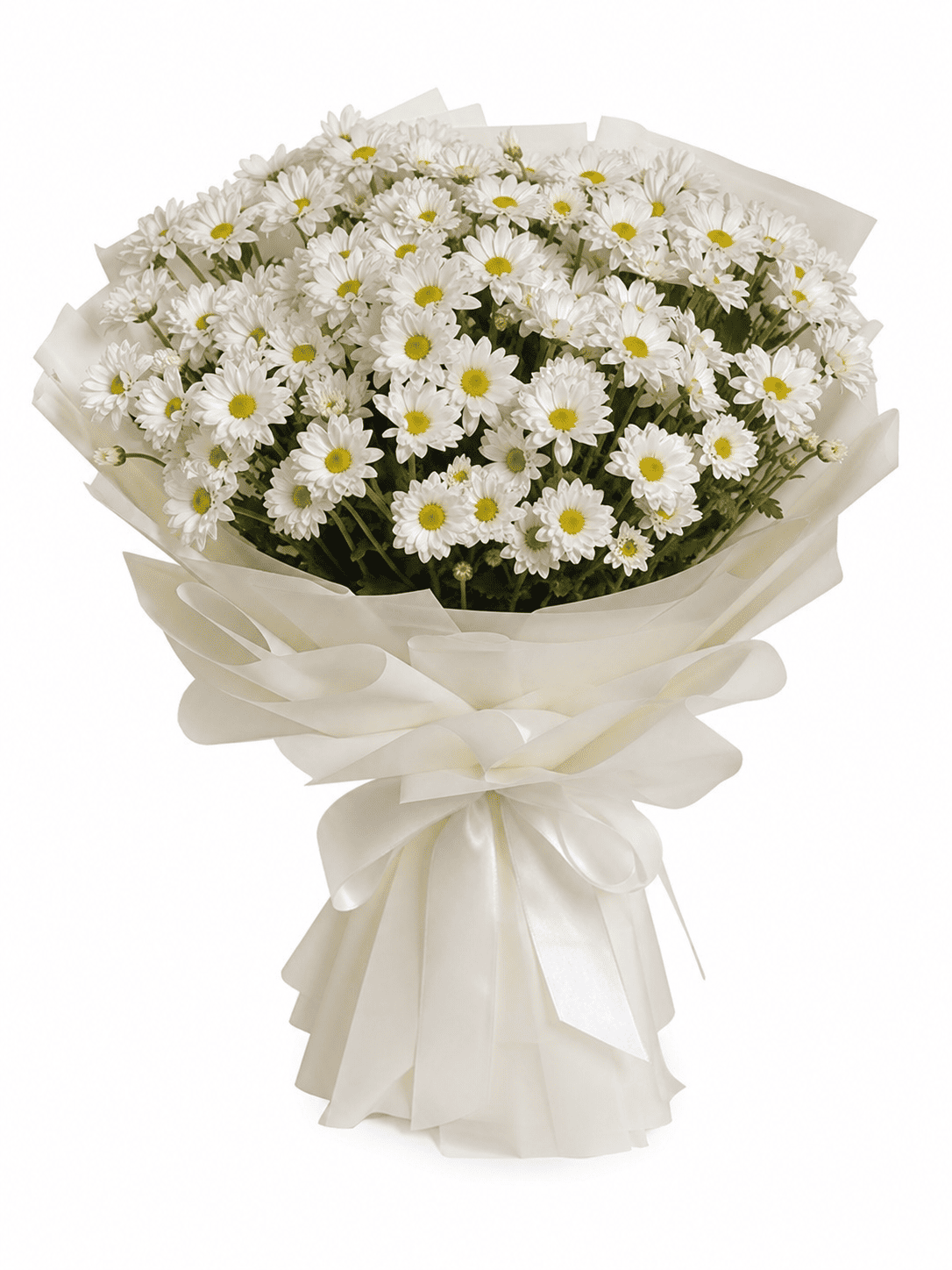 Daisy
