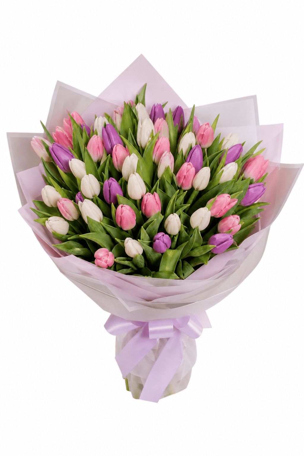 Tulip